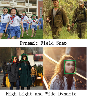 Dynamic non-perceptual capture